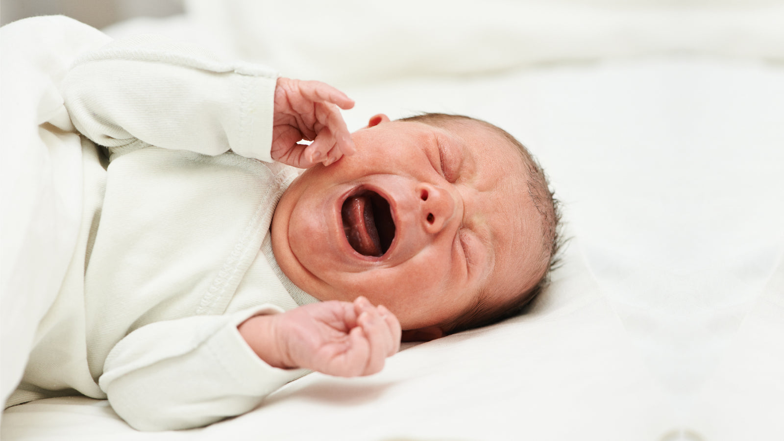Managing Colic & Reflux