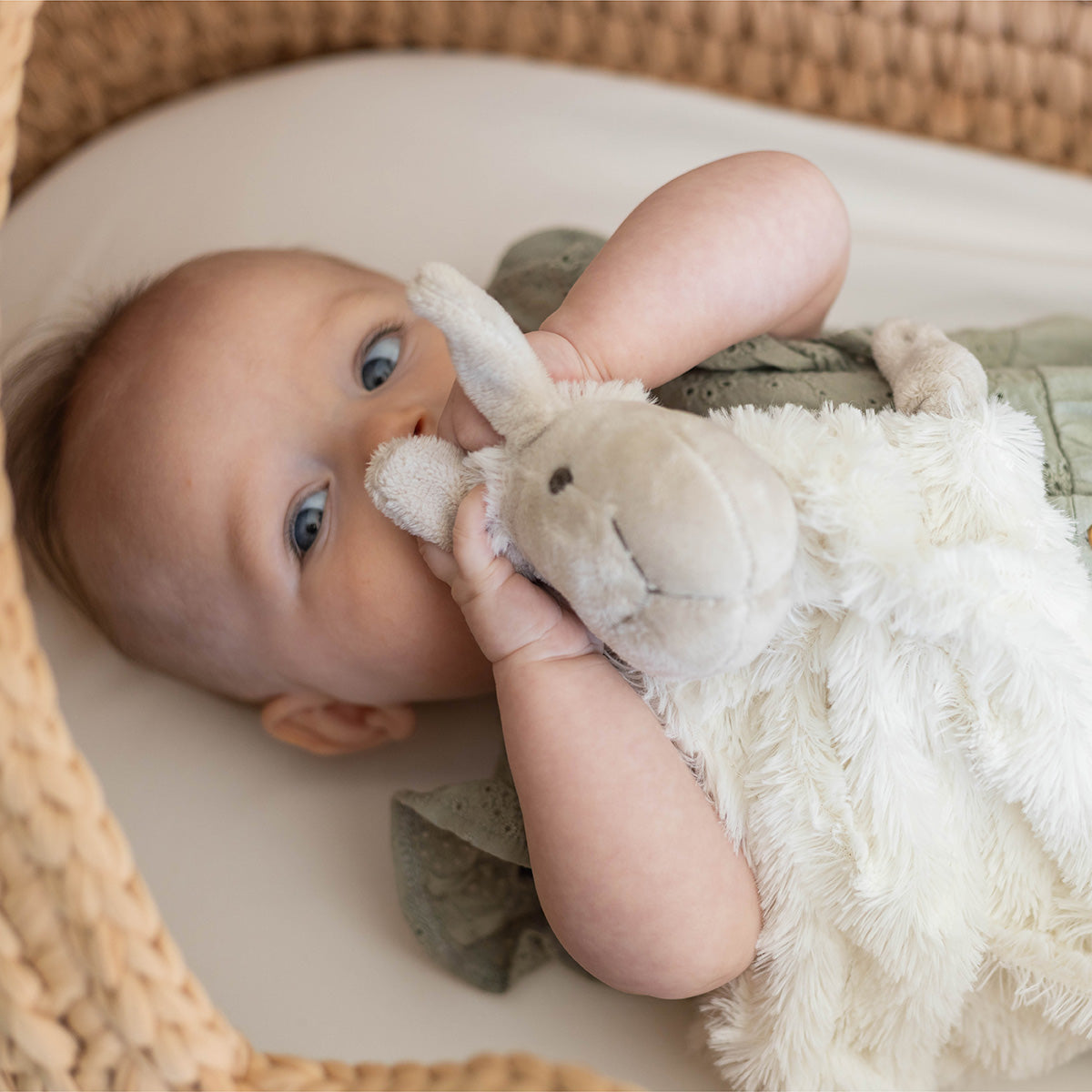 Snuggletime Sheep Comfort Blankie